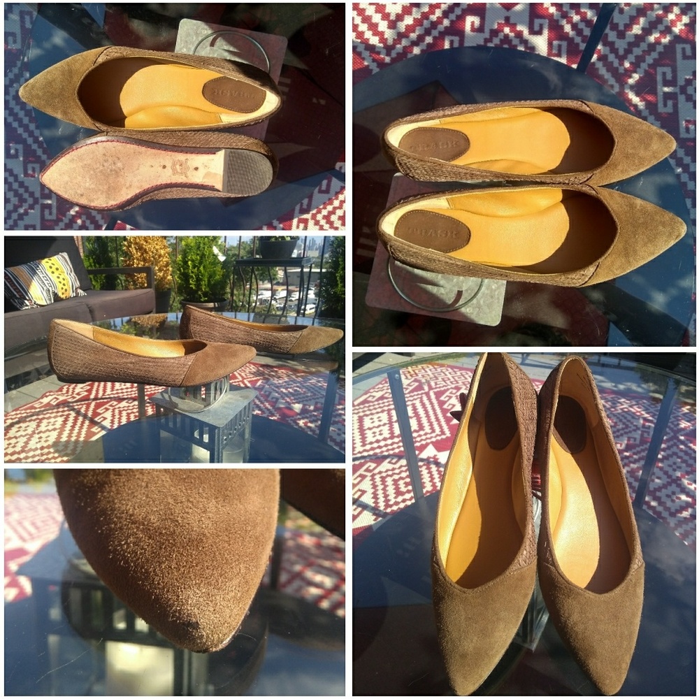 🐂 TRASK Pointed Leather Flats